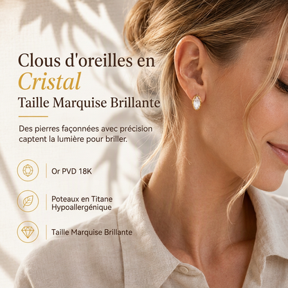 💎 50 % Rabatt! Elegante Zirkonia-Ohrringe – Funkelnder Schmuck mit zeitlosem Design ✨